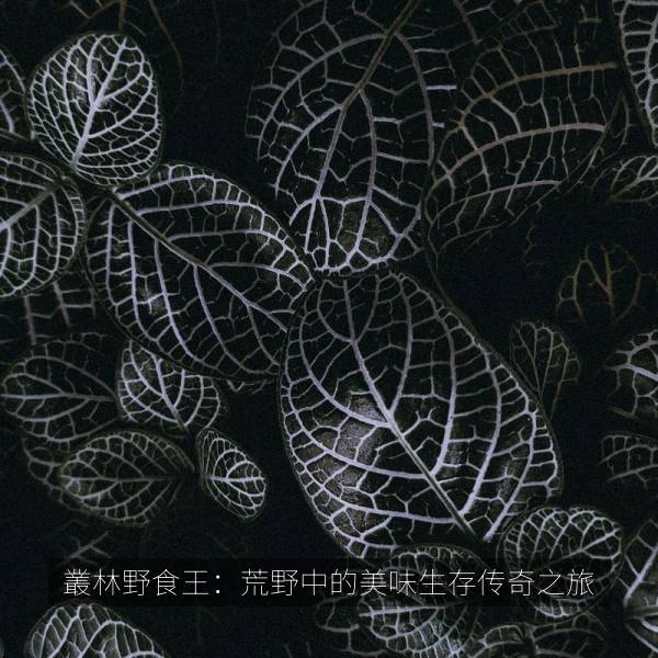 叢林野食王：荒野中的美味生存传奇之旅 海报