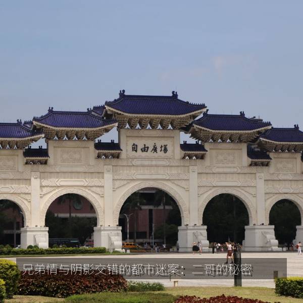 兄弟情与阴影交错的都市迷案：二哥的秘密 海报