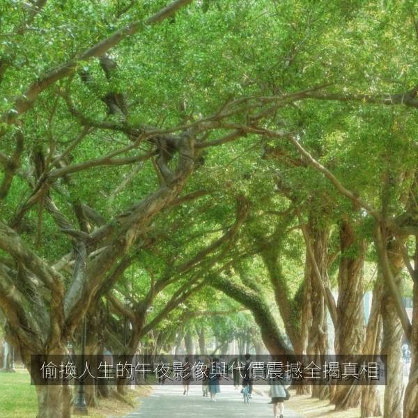 偷換人生的午夜影像與代價震撼全揭真相 海报