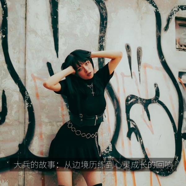 大兵的故事：从边境历练到心灵成长的回响 海报