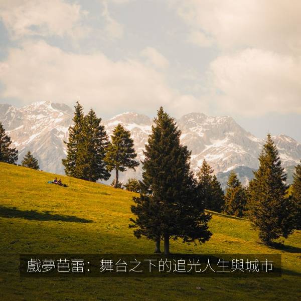 戲夢芭蕾：舞台之下的追光人生與城市 海报