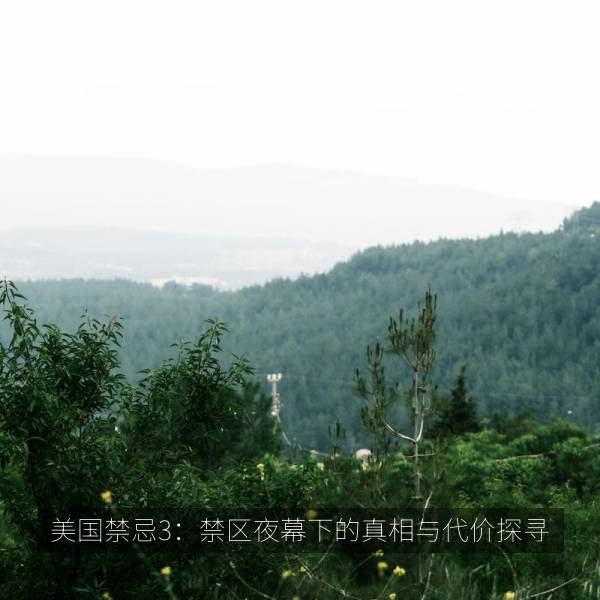 美国禁忌3：禁区夜幕下的真相与代价探寻 海报